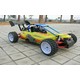 1/5 Scale Petrol Driven 2wd offroad Baja Buggy NEW 2009 Model